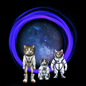 The Space Kittens From Oumuamua: Attention All Humans!