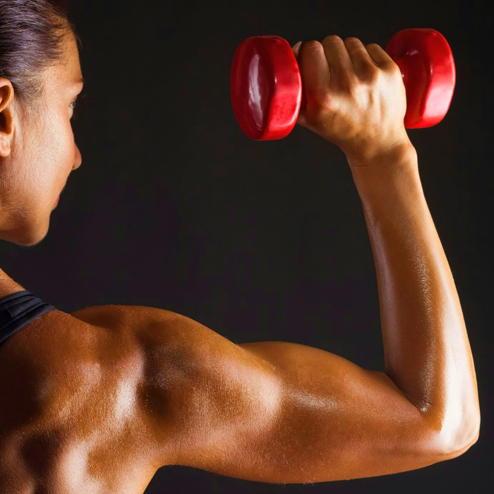 So, What Does A Real Muscle Building Workout Look Like?