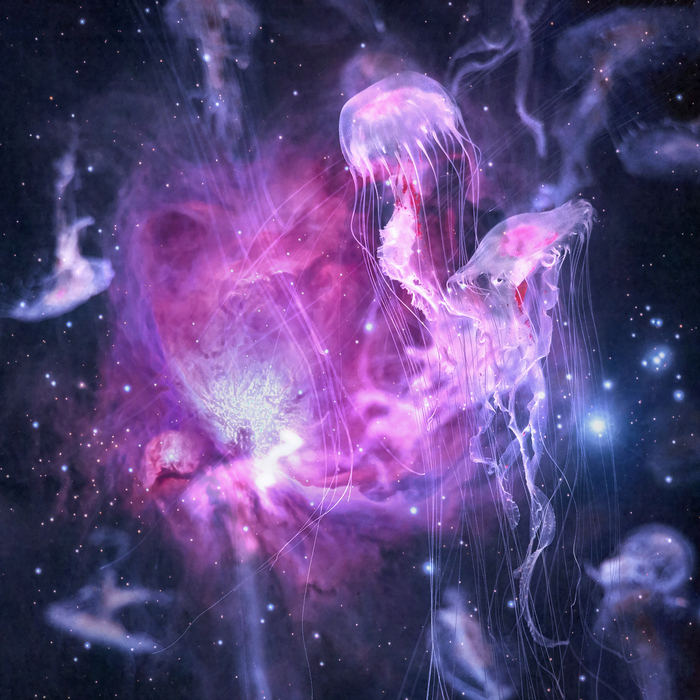 Transcendence For You Is Transcendence For Your Species