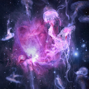 Transcendence For You Is Transcendence For Your Species