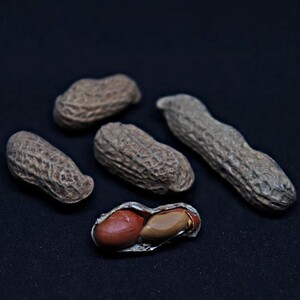 Of Photogrammetric Peanuts And The Importance Of Real Education